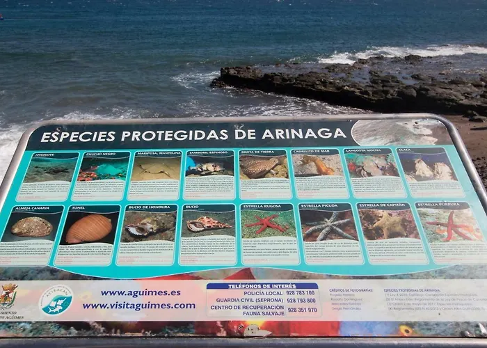 Apartmán Edificio Golden Arinaga