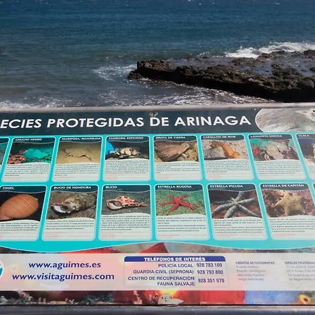 Appartement Edificio Golden Arinaga